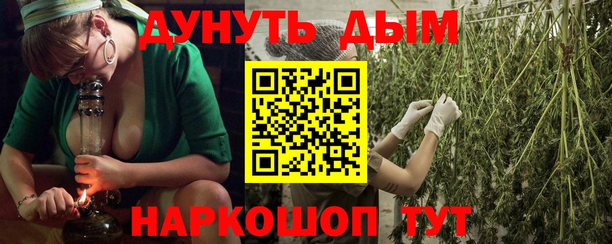 Канабис OG Kush Губкин